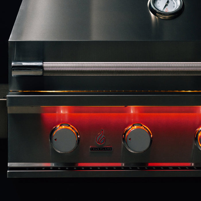 TEST Short and Long Description: TrueFlame Built-In Grill - TEST-TF-GRILL Additional Image-9