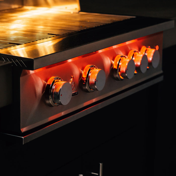 TEST Short and Long Description: TrueFlame Built-In Grill - TEST-TF-GRILL Additional Image-10