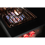 TrueFlame Power Burner - TFPB Additional Image-13